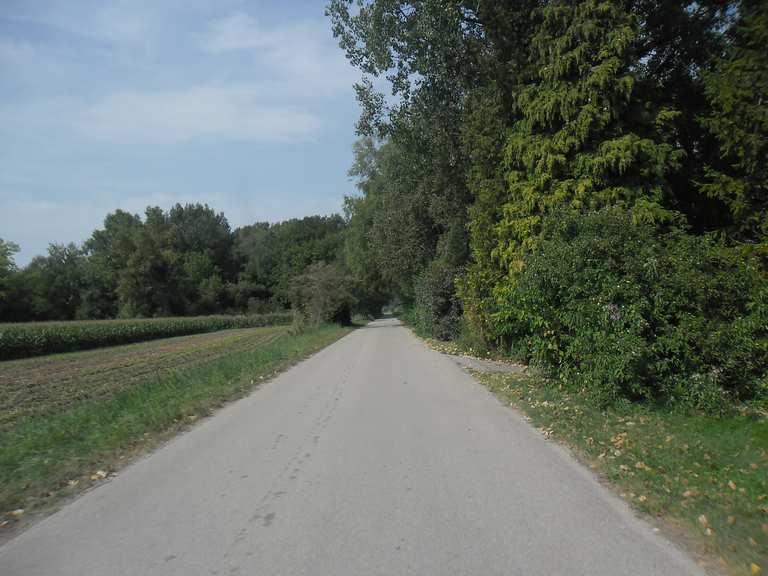 Durchs Oberdinger Moos Von Goldach nach Zengermoos Runde von Ismaning