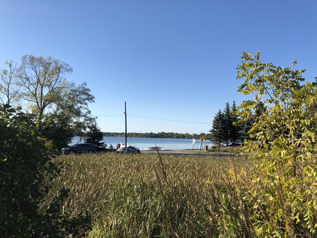 A lake with cars parked nearby, seen through tall grass and trees.