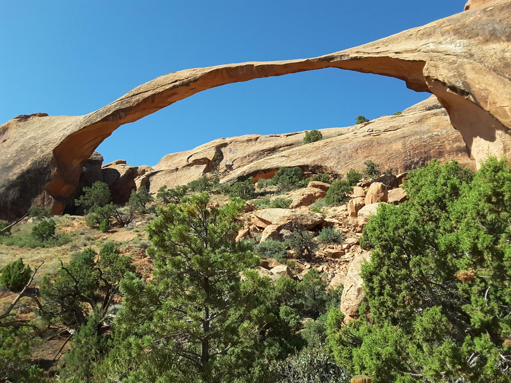A large natural rock arch spans over green trees under a clear sky.