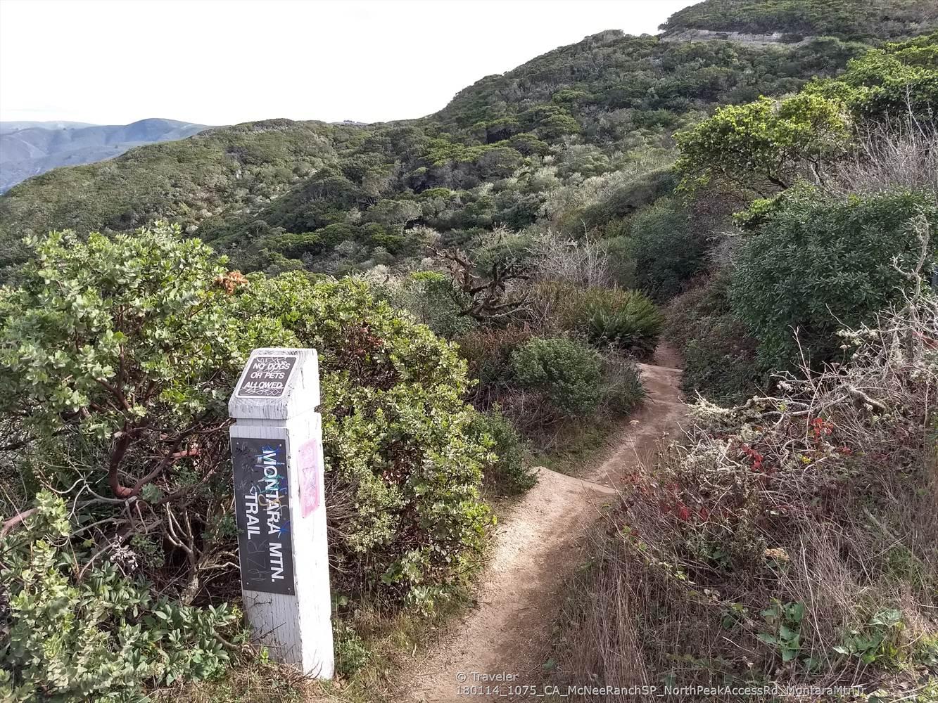 Dirt trail winding through dense green brush with a trail marker.
