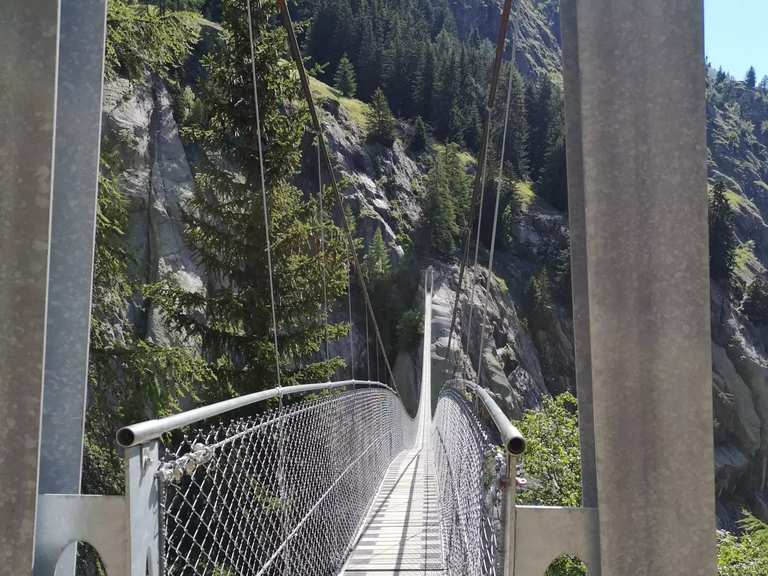 Capilano Suspension Bridge - Bras Across the Bridge