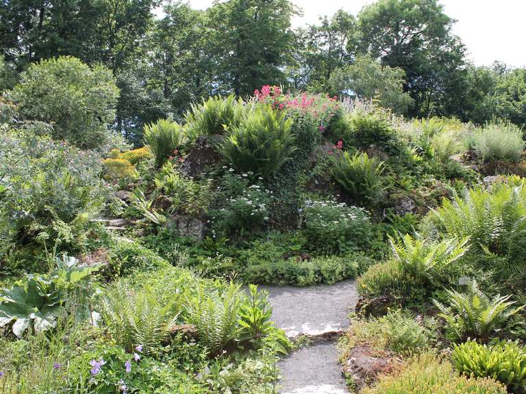 Cafe Botanik und der alte Botanische Garten (in Göttingen) Wanderungen