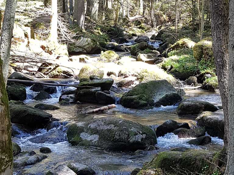Wunderschöne Otterbach Otterbachtal Runde von Sulzbach an der Donau