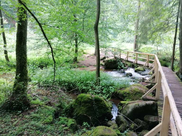 Höllbach Brücke Routes for Walking and Hiking | Komoot