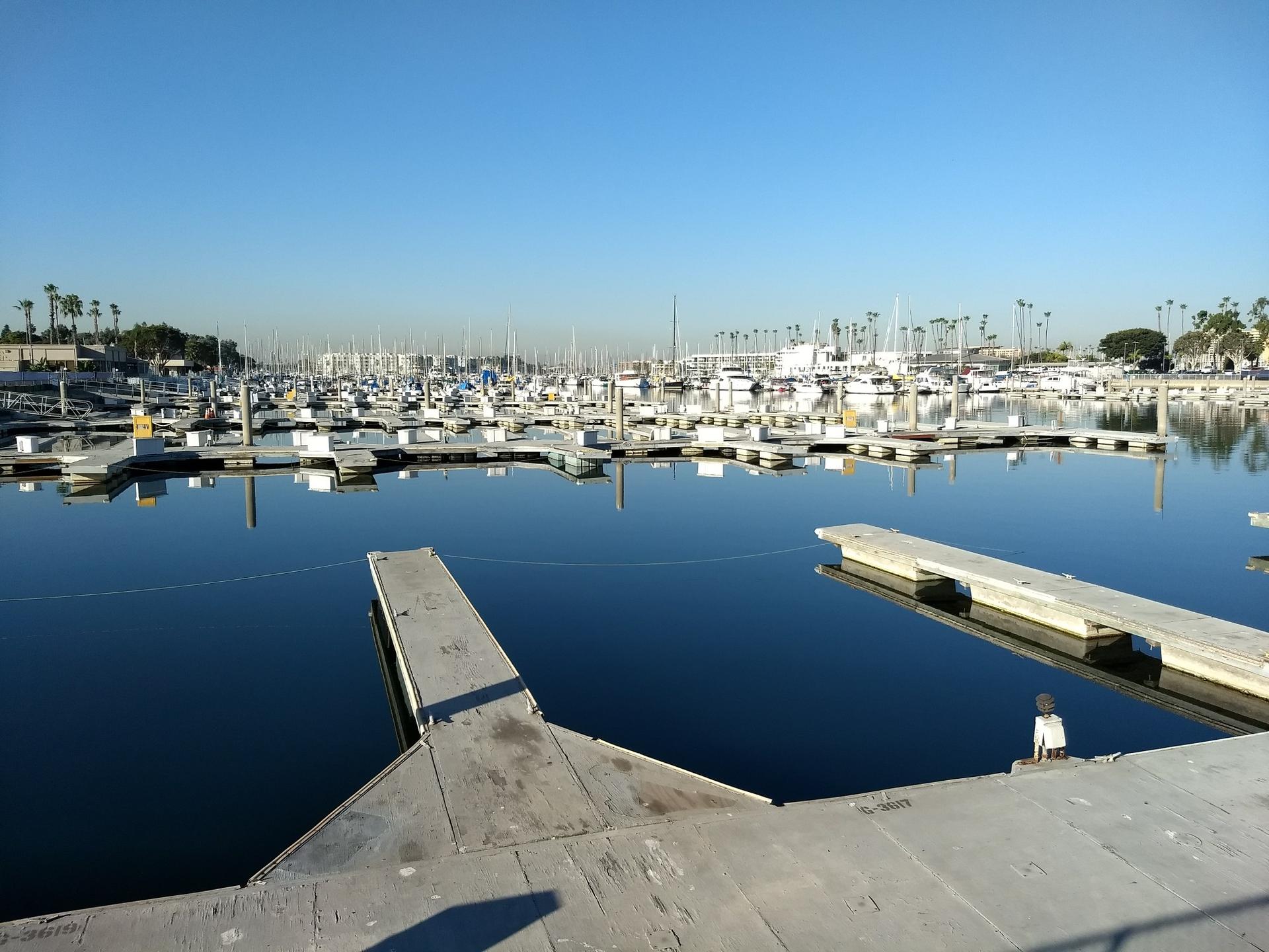 Sunny marina with many boats docked on calm, reflective water.