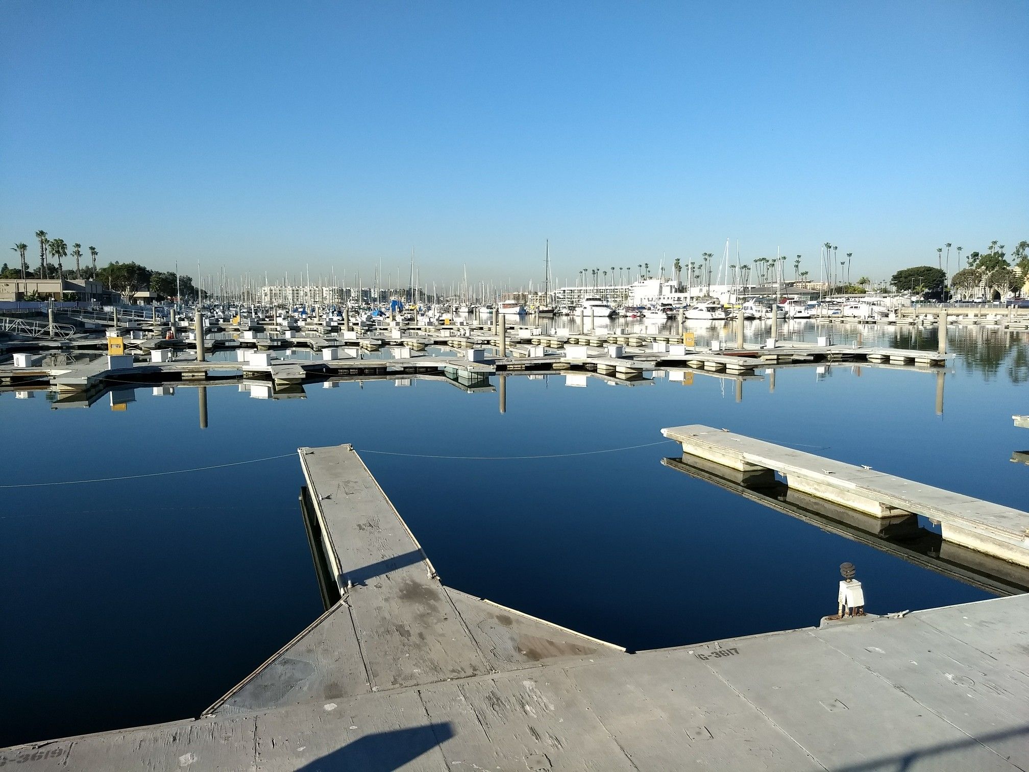 Sunny marina with many boats docked on calm, reflective water. - Marvin Braude Bike Trail