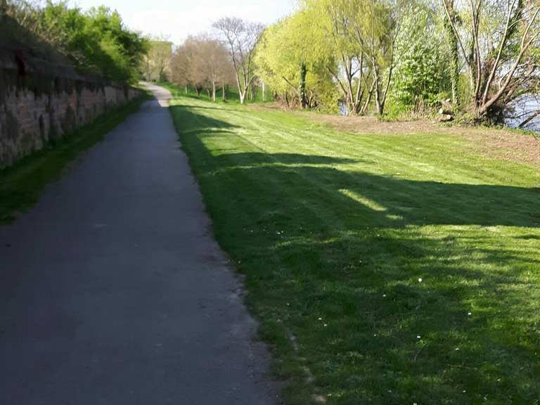 fahrrad wieblingen