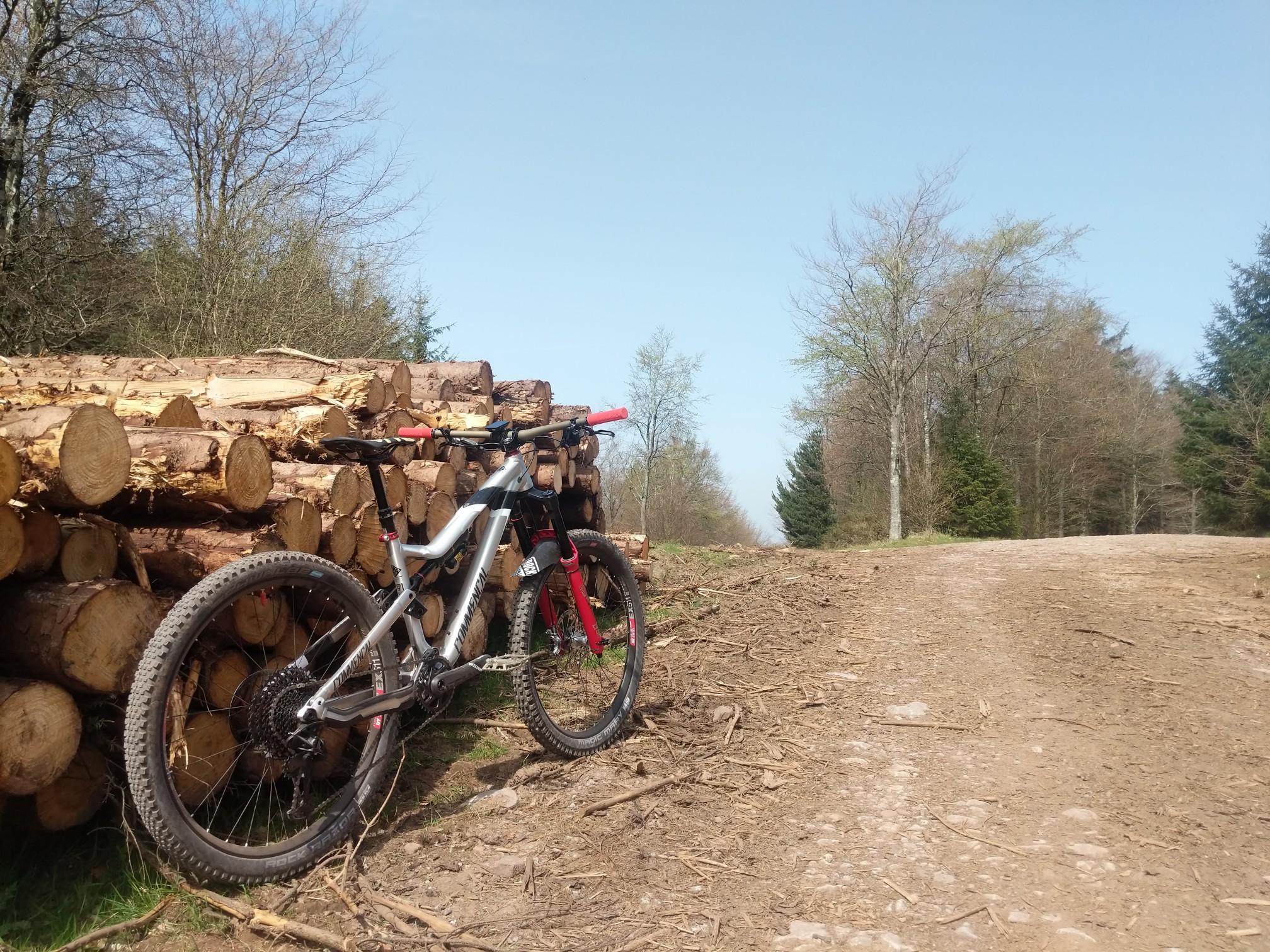 rowberrow warren mtb trails
