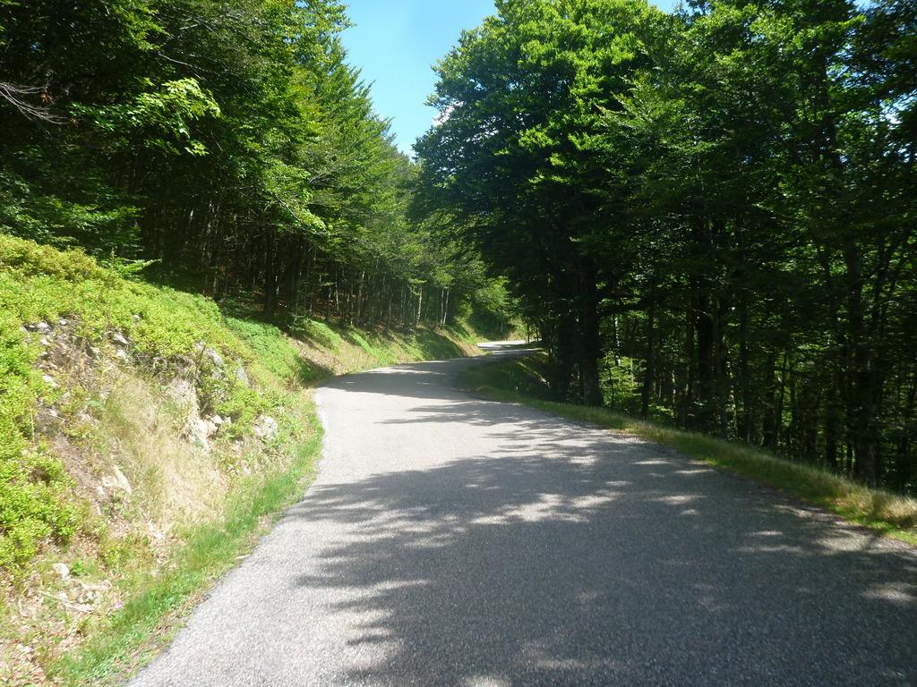 0?width=3072&height=2304&crop=false&q=70