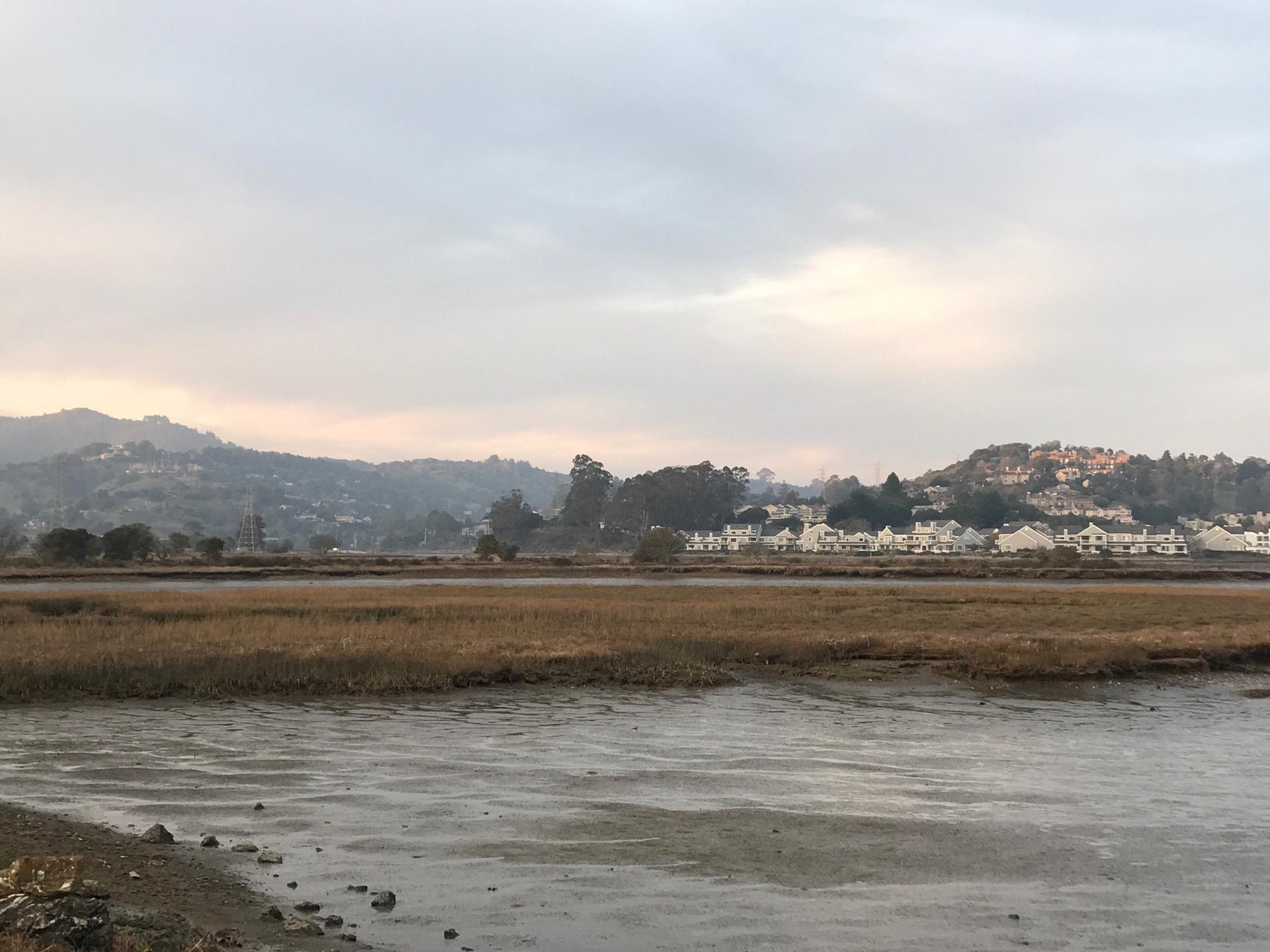 Muddy tidal flats, distant houses on hills, and an overcast sky.