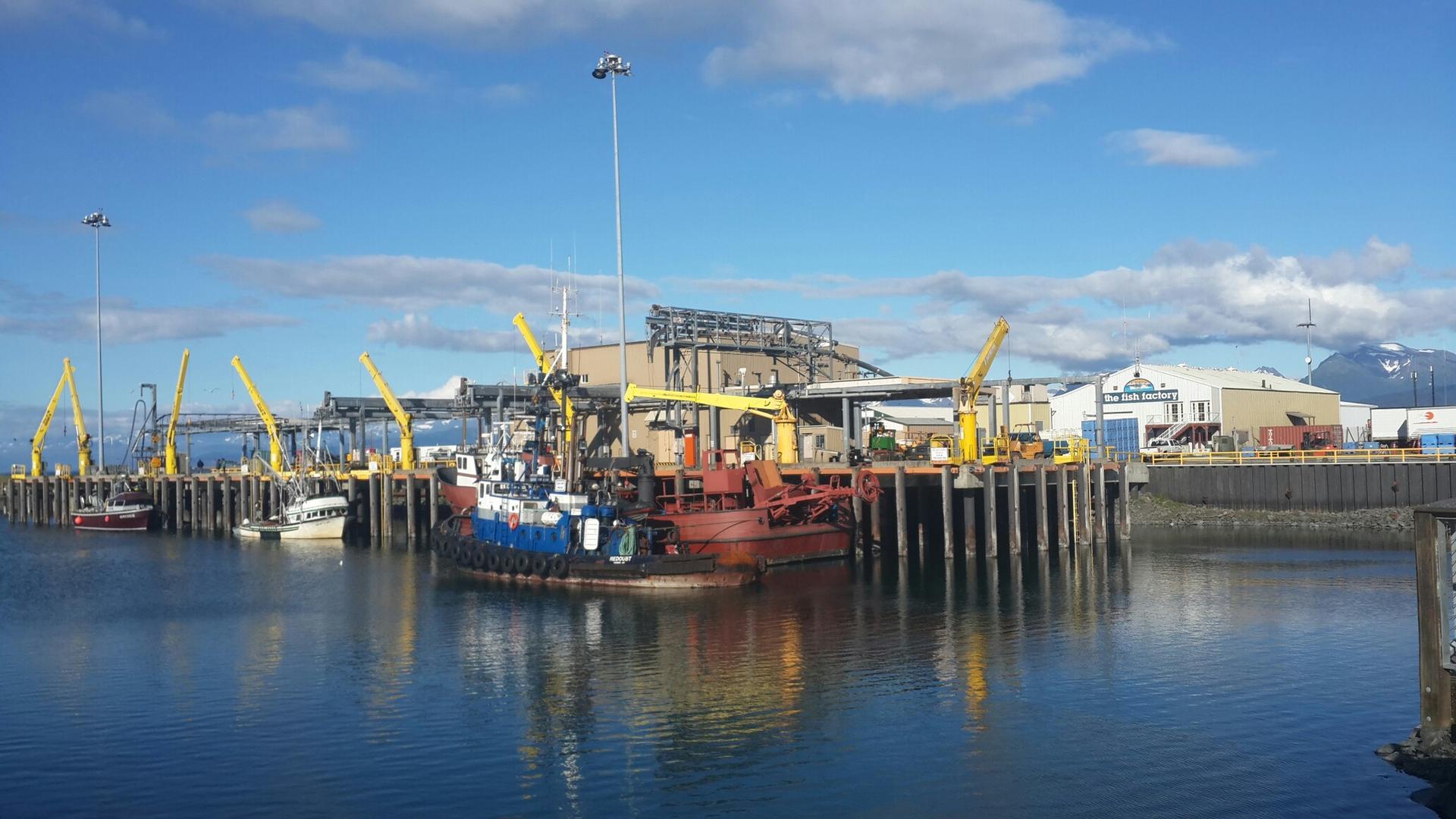 Sunny harbor scene with many boats docked, industrial buildings, and cranes.