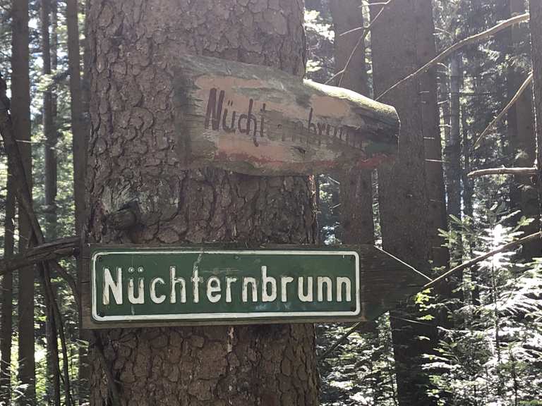 Weißes Martler (5-Wege-Kreuzung): Mountainbike-Touren und -Trails | komoot