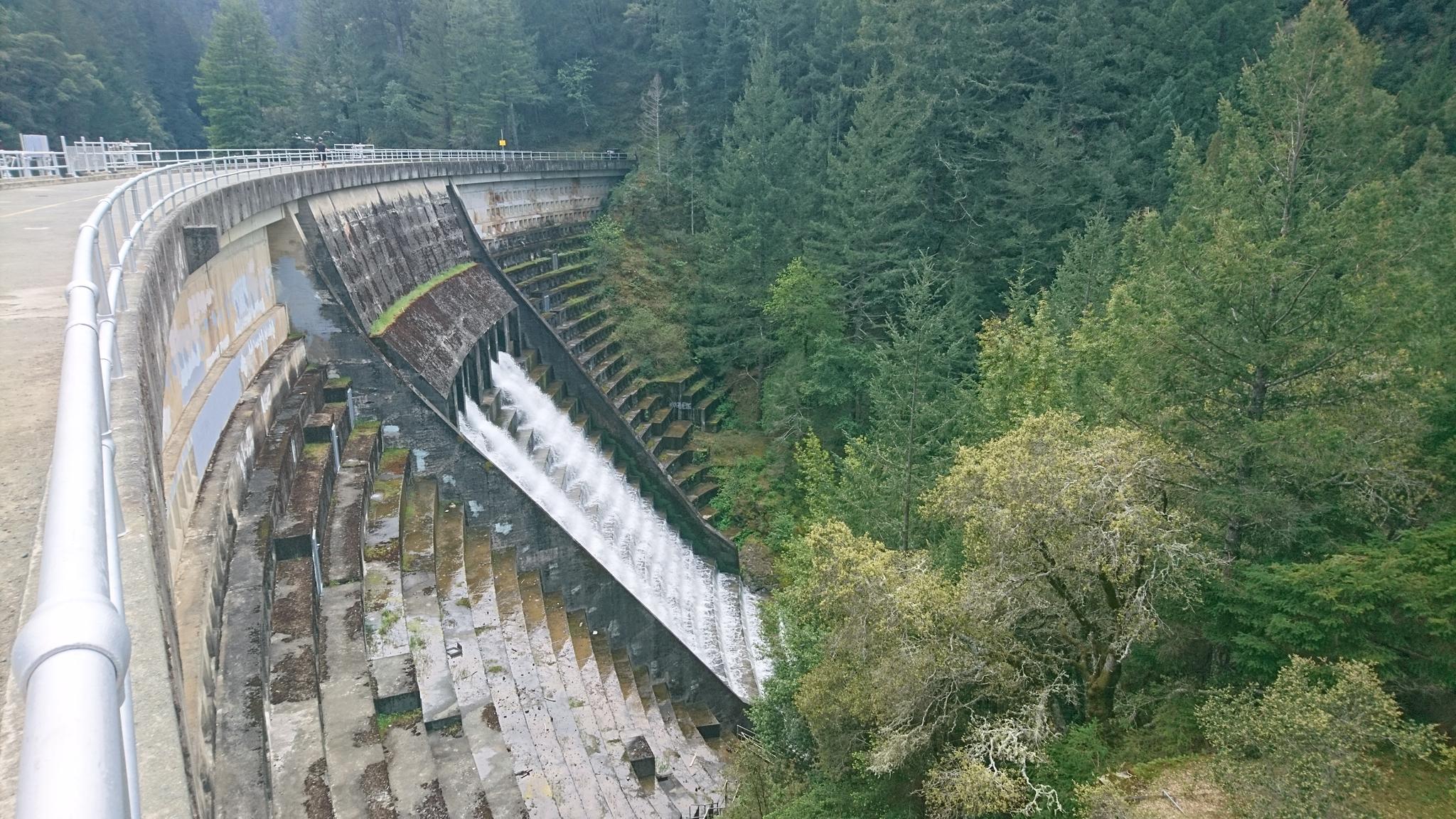 Water flowing down a concrete dam spillway surrounded by dense green forest.