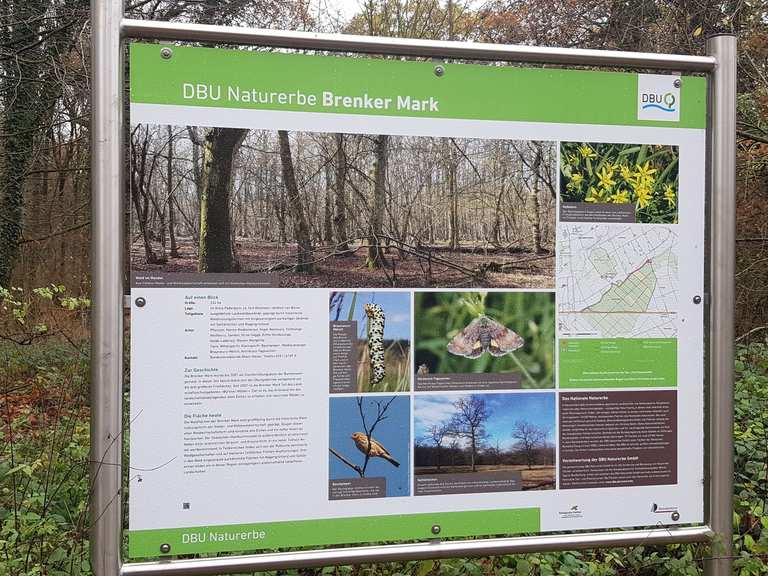 Parkplatz Dbu Naturerbe Geseke Runde Von Geseke Wanderung Komoot