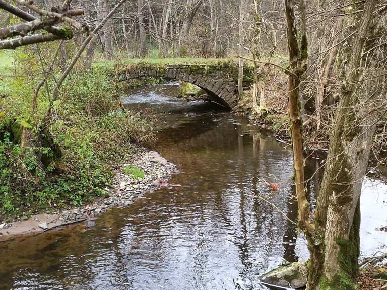 Buchenbachtal Wanderungen und Rundwege komoot