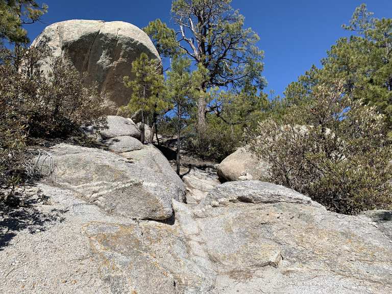 Wilderness of 2024 rocks trail