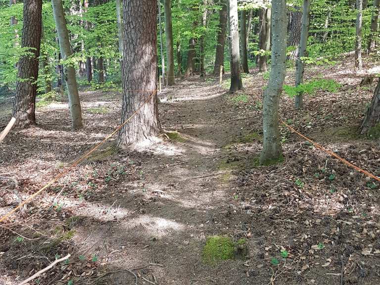 fahrrad bundenthal