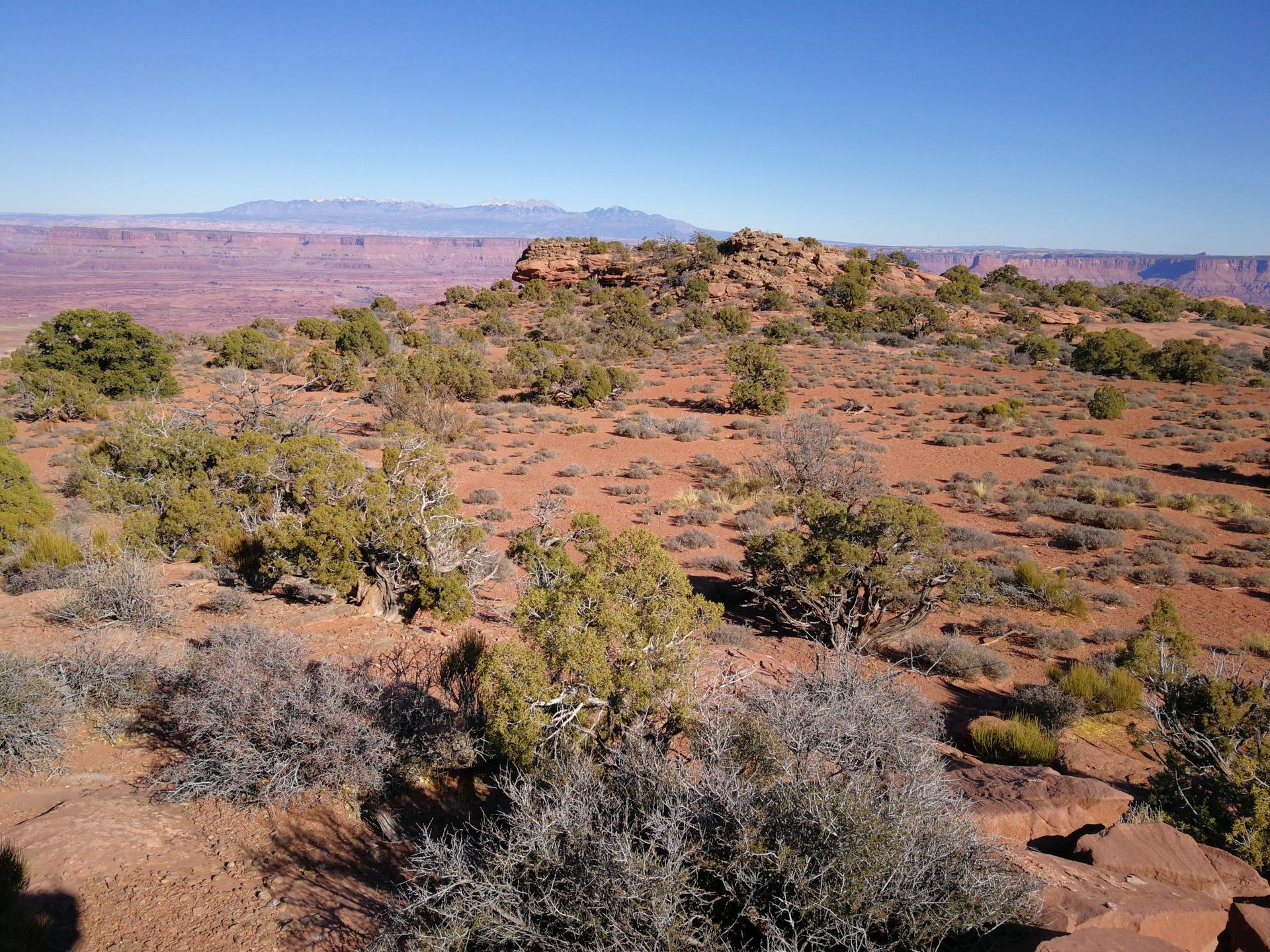 Desert landscape with sparse green bushes, red earth, and distant mountains.