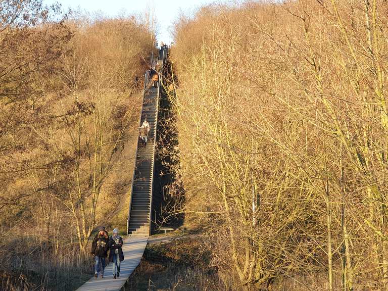 Himmelstreppe - Neukirchen-Vluyn, Wesel | Wandertipps & Fotos | Komoot