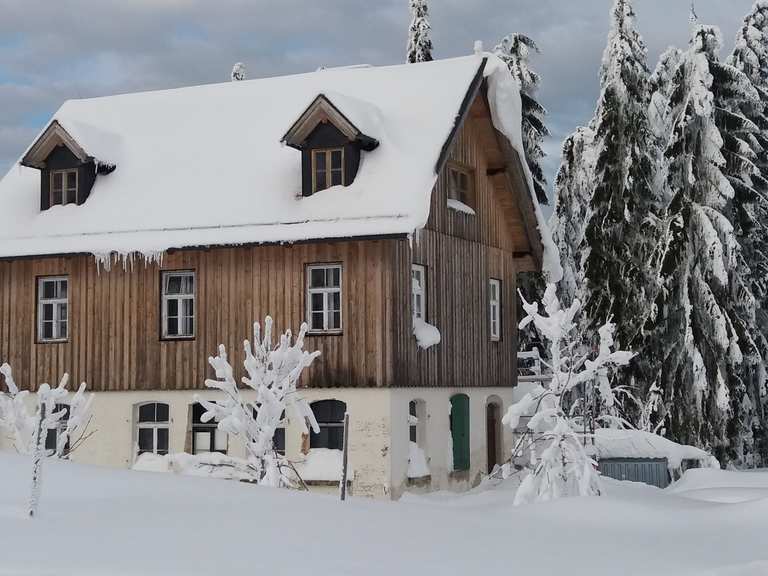 Leopoldsreut Wanderungen und Rundwege komoot