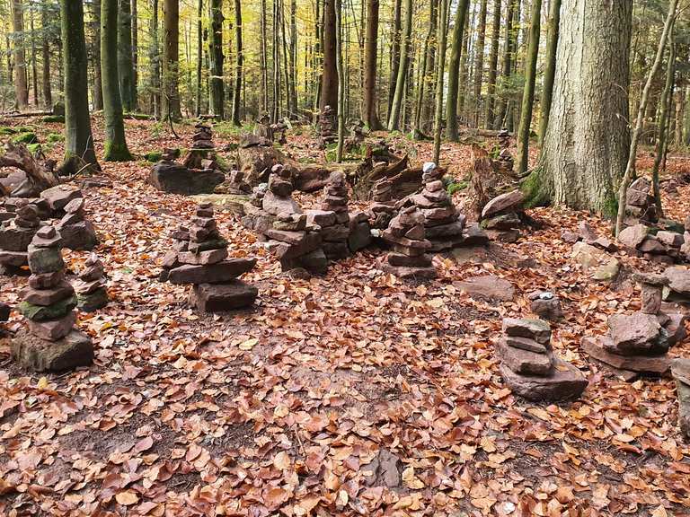 Marchenpfad Kaltes Herz Bad Wildbad Calw Wandertipps Fotos Komoot