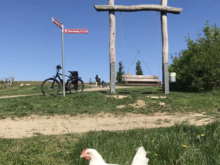 Weinbergschaukel Radtouren und Radwege komoot