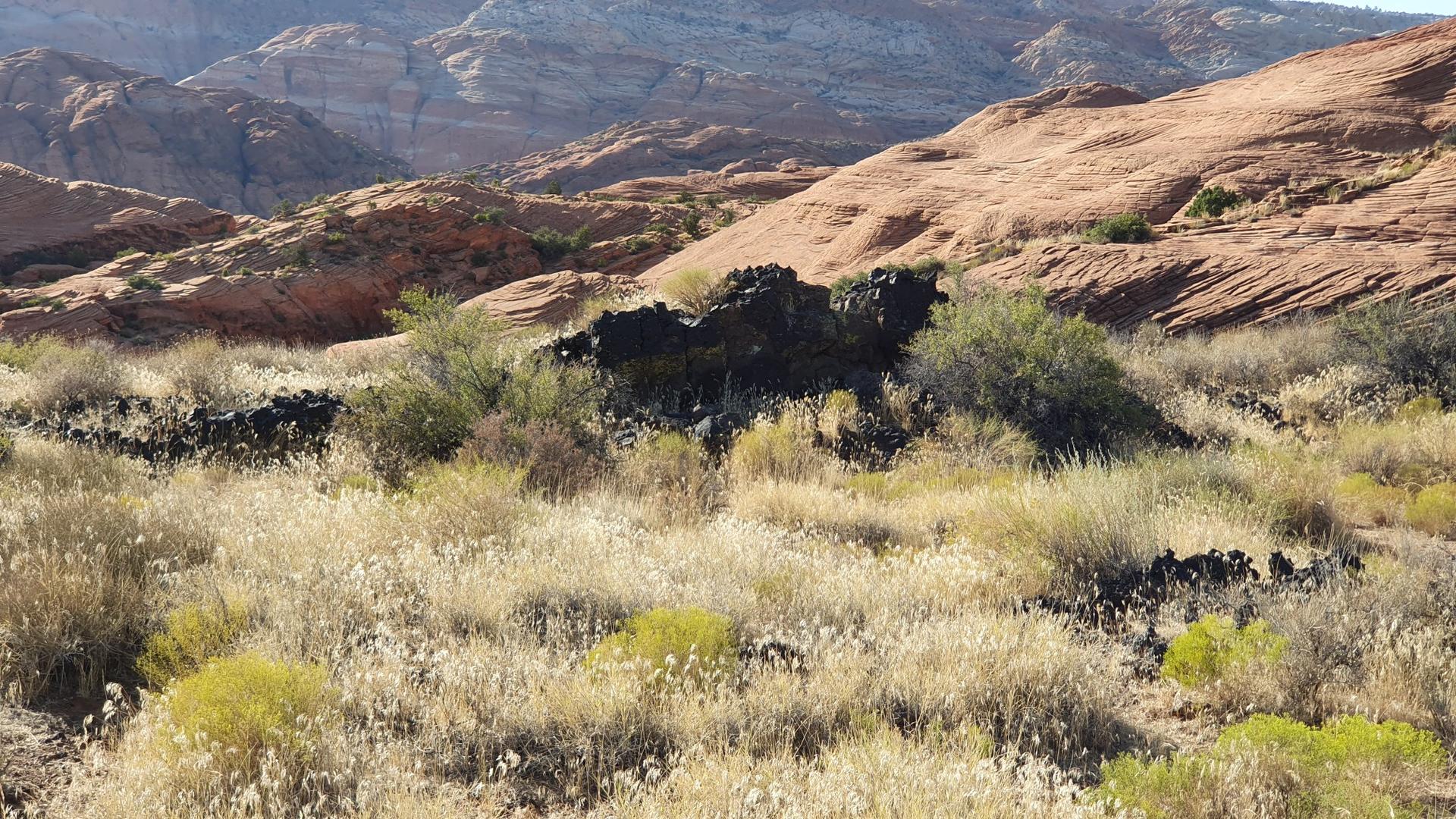 Dry desert grasses and shrubs with dark rocks, layered red hills in background.