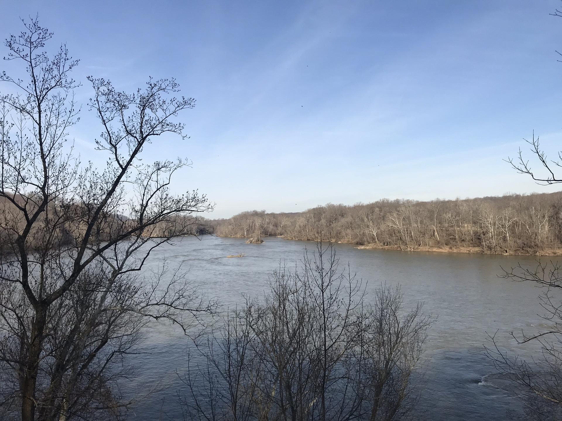 Wide river flowing through a forested landscape under a clear blue sky.