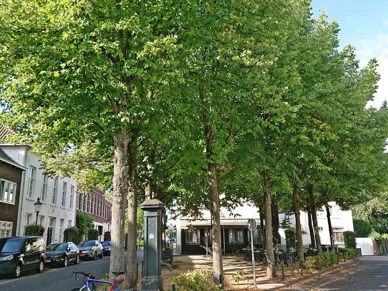 Monding van de Roer in de Maas vanaf de Stenbrug Limburg