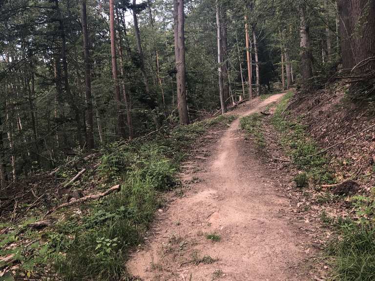 mtb singletrails stuttgart