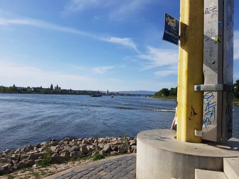 Mainspitze (Mainz) Wanderungen und Rundwege komoot