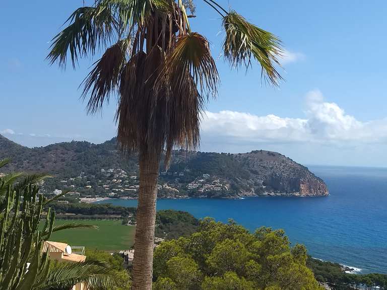 Cala Rotja Mirador Cap des Pinar Runde von Canyamel Wanderung Komoot