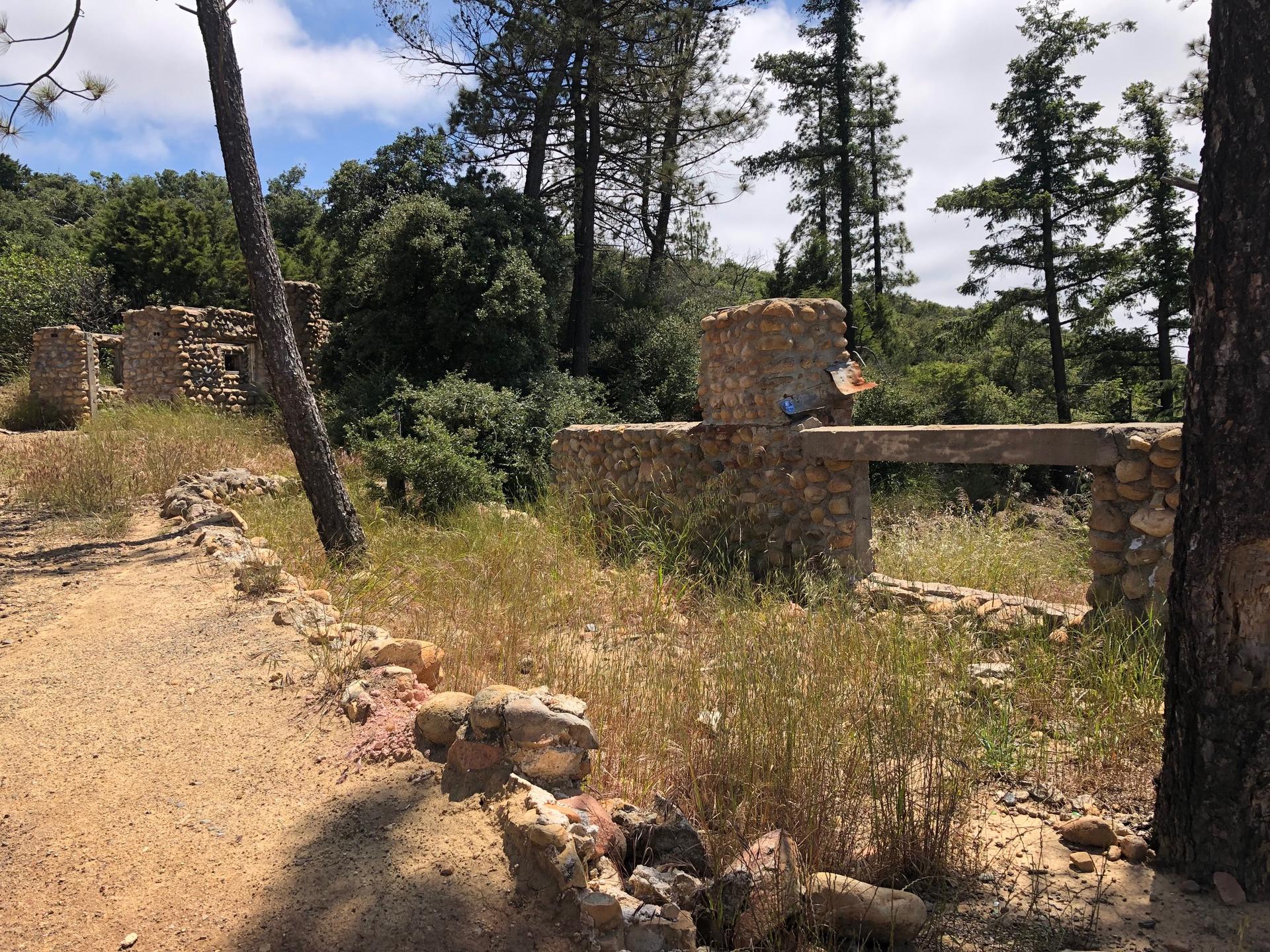 Stone ruins stand amidst tall trees and dry grass on a sunny day.