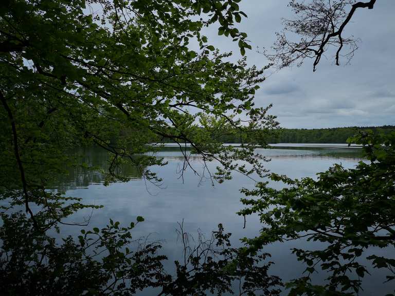 Liepnitzsee Wandlitz, Barnim RadtourenTipps & Fotos