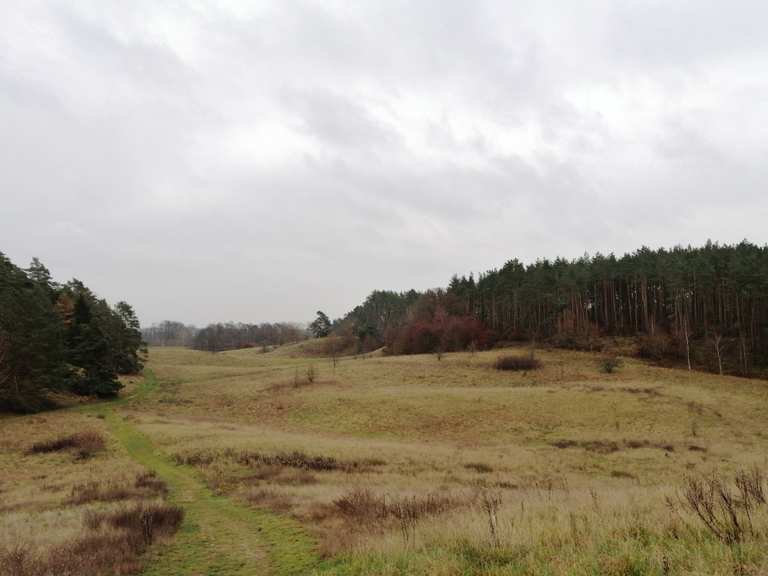 Ausblick auf eiszeitliche Wanderungen und Rundwege komoot