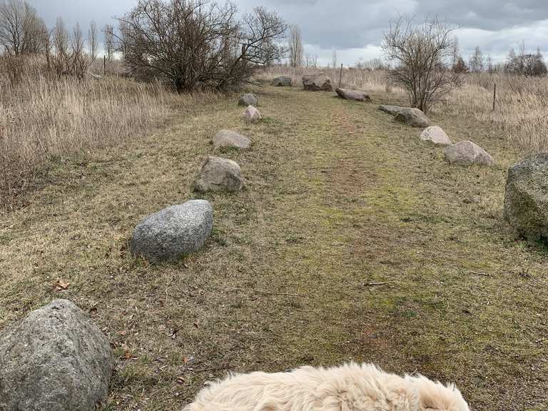Eiszeitliche Findlinge aus Skandinavien Wanderungen und Rundwege komoot