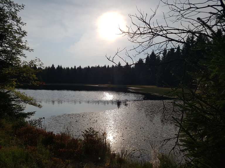Wüster Teich wandelroutes en hikes Komoot