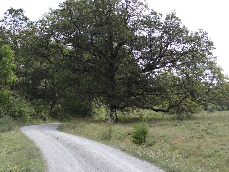 fahrrad uffenheim