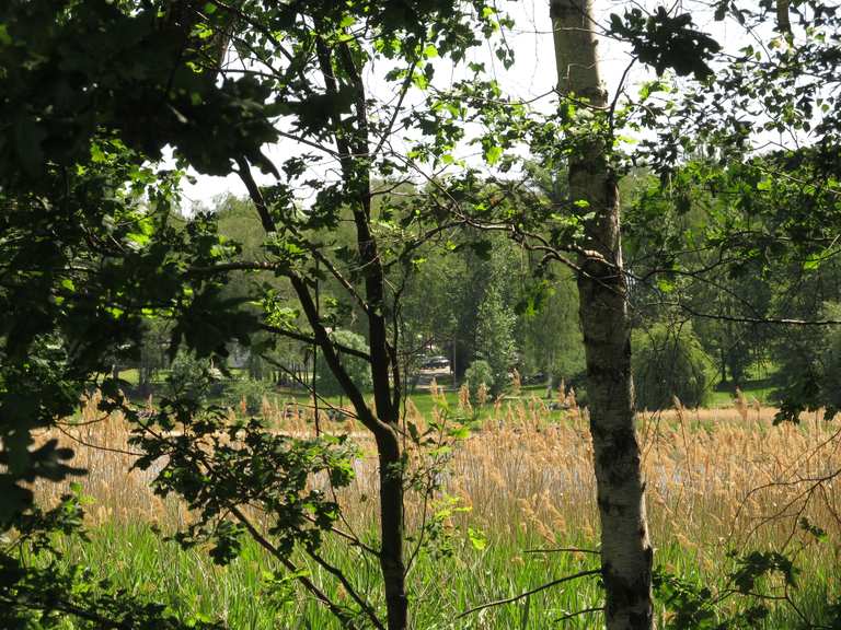 Campingplatz Lübschützer Teiche Radtouren und Radwege komoot
