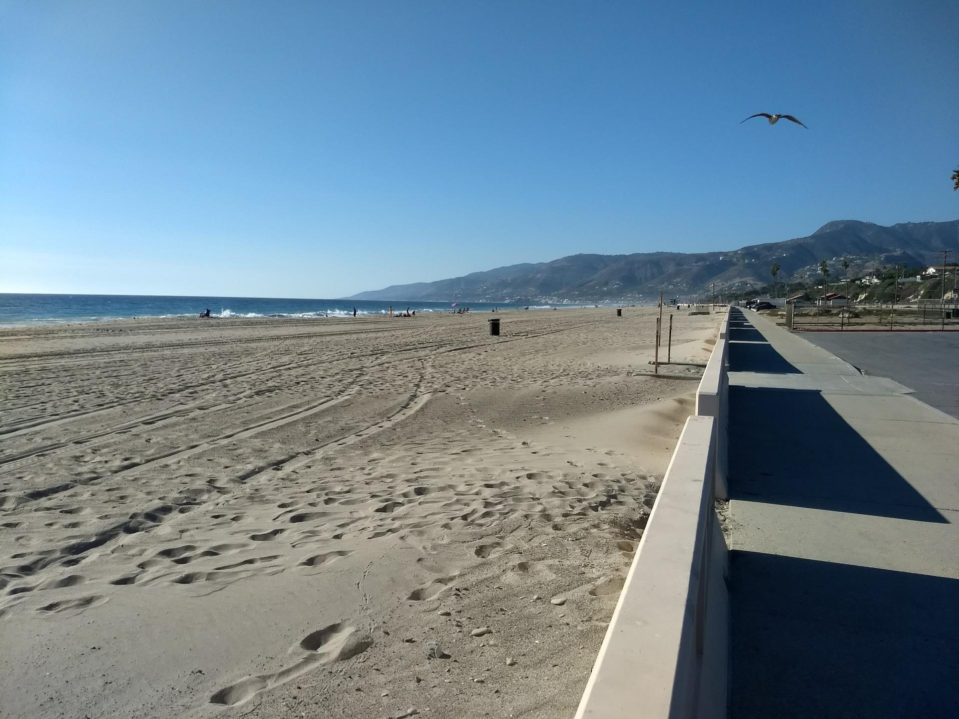 Wide sandy beach with ocean, distant mountains, and a flying seagull.