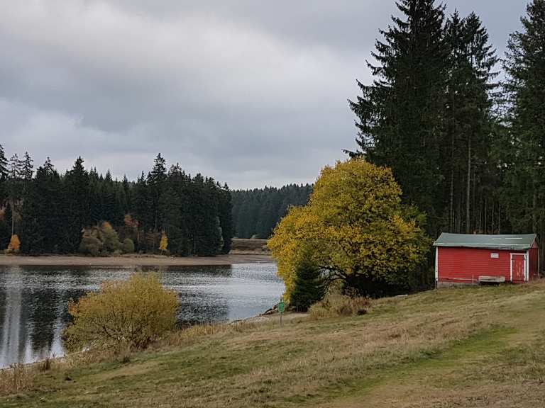 Ziegenberger Teich Wanderungen und Rundwege komoot