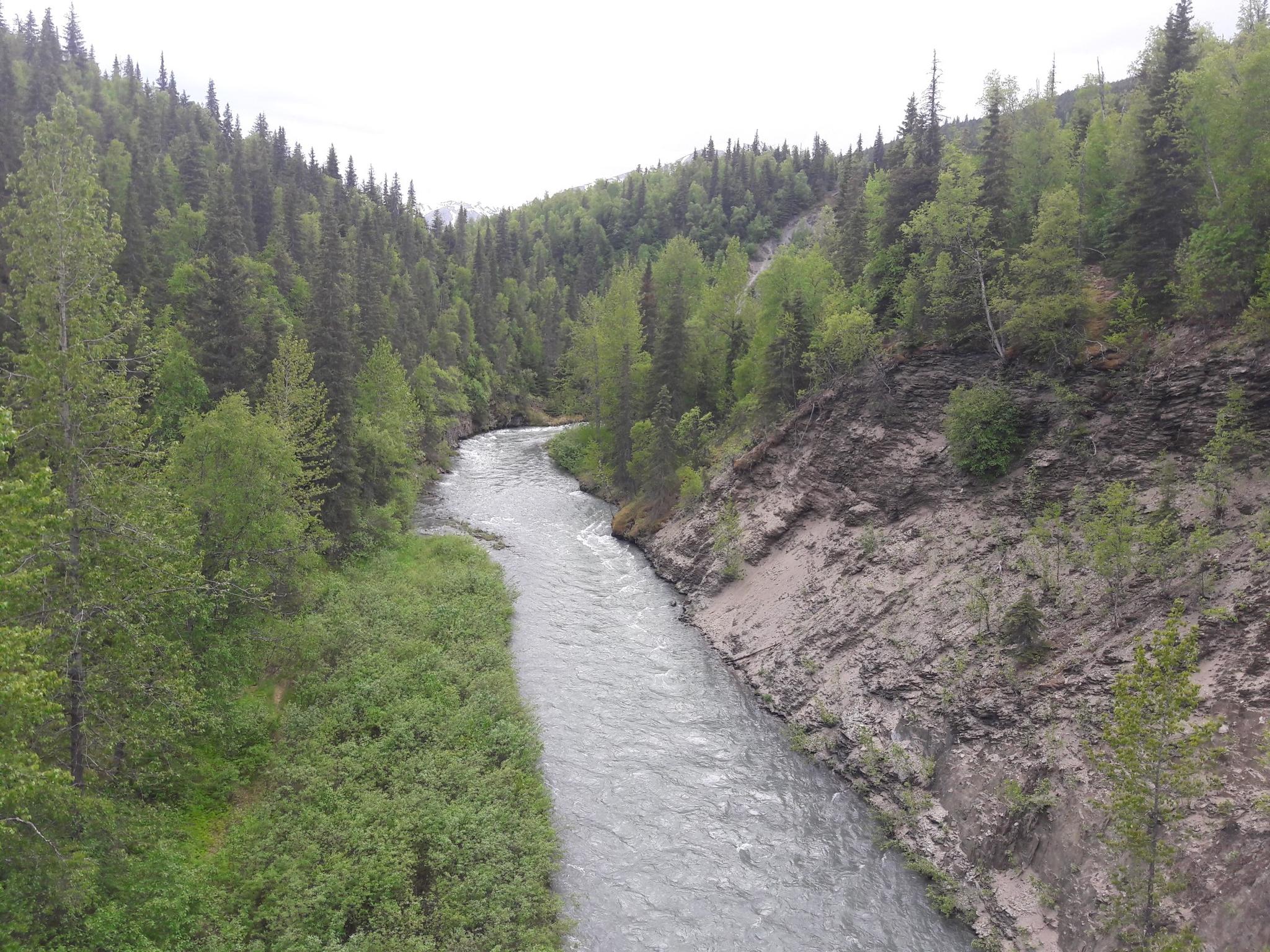A river flows through a green canyon with dense trees and rocky banks.