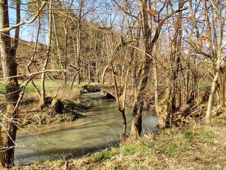 Buchenbachtal Wanderungen und Rundwege komoot