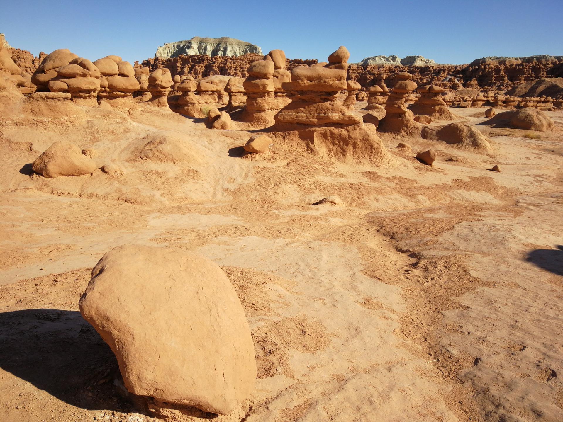 Sunny desert landscape with numerous unique, mushroom-shaped rock formations and shadows.
