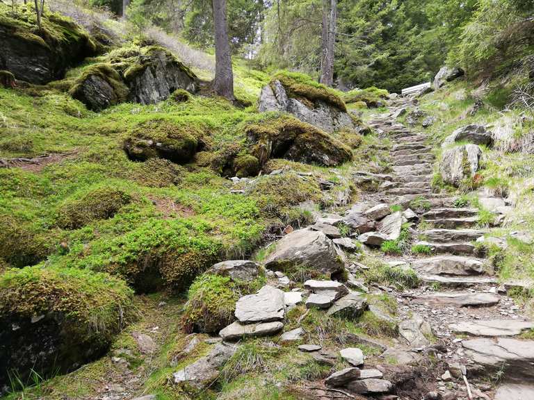 Leiteralm: Wanderungen und Rundwege | komoot