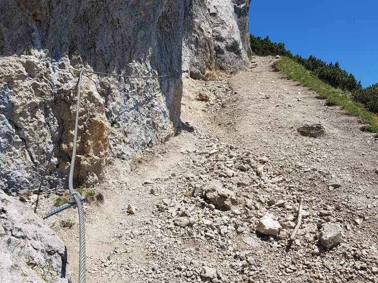 Bärenkopf Touren und Karten komoot