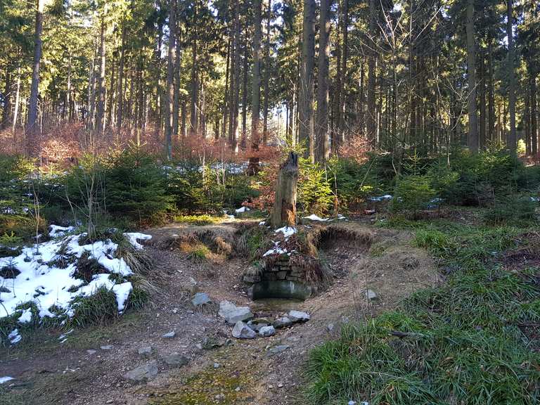 Weilquelle Wanderungen und Rundwege komoot
