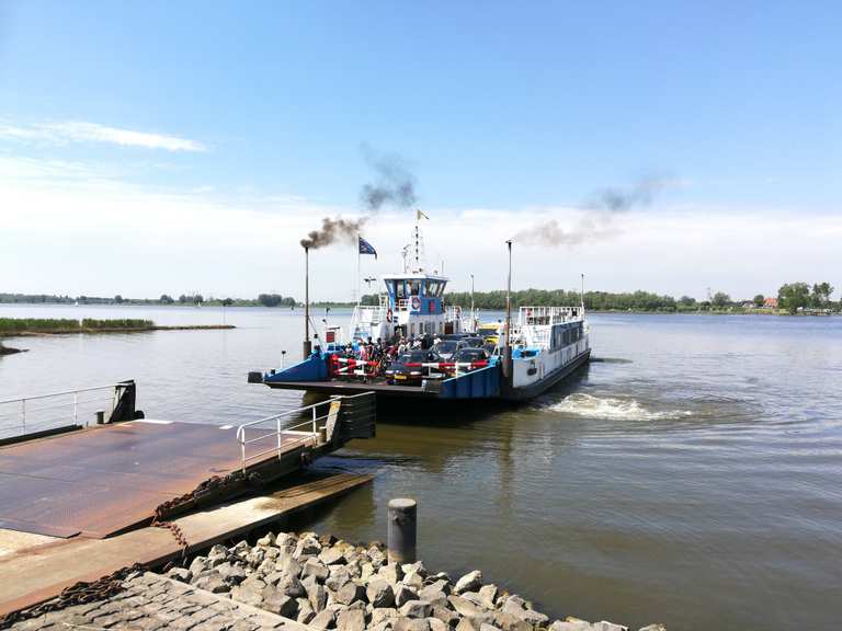 Pontje bij Kop van 't Land Nationaal Park De Biesbosch Rondje vanuit Dordrecht Zuid