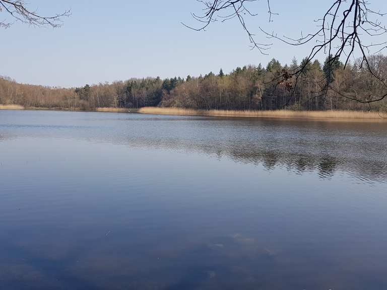 Bredenbeker Teich Routes for Walking and Hiking Komoot