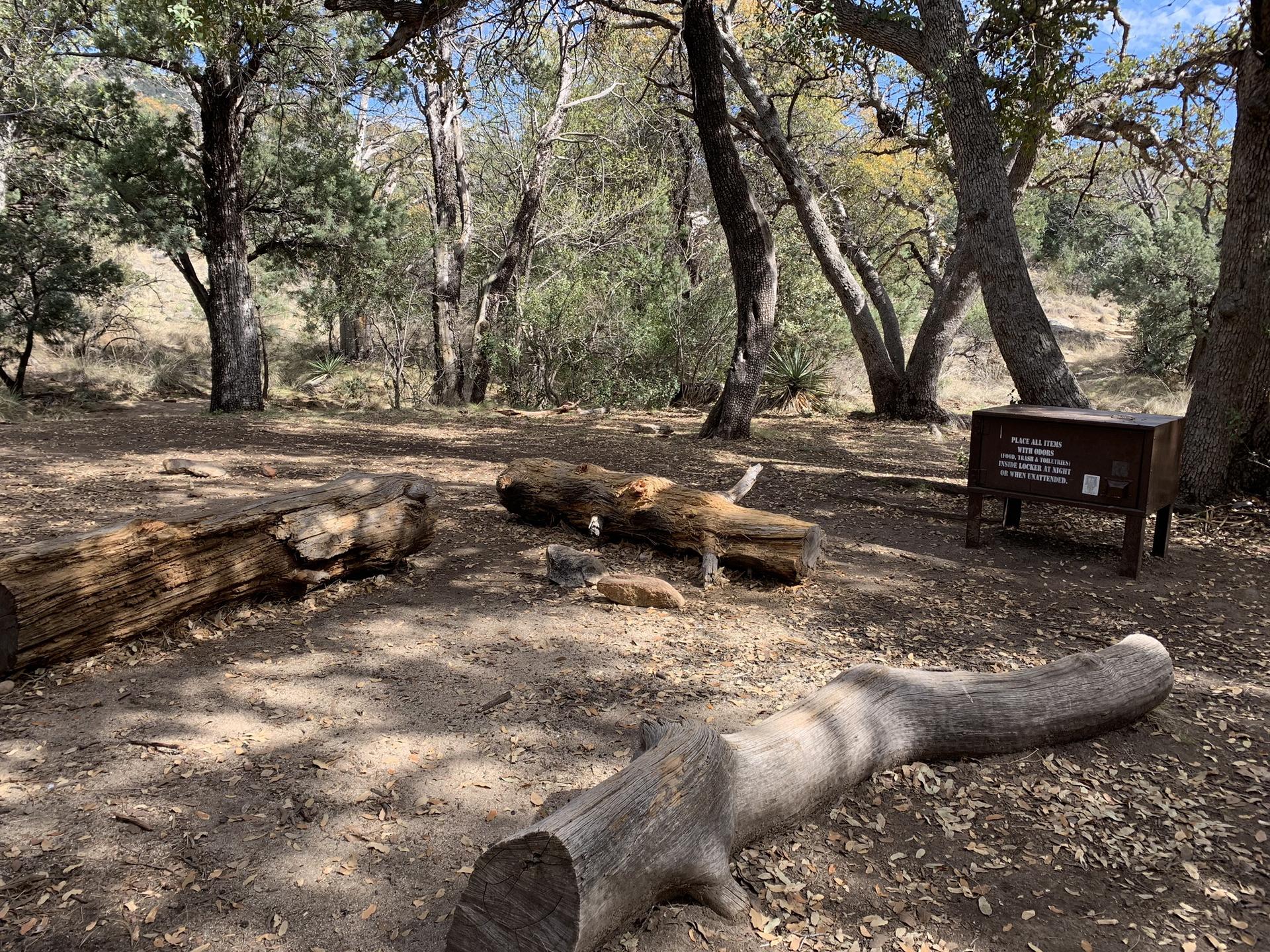 Forest clearing with large logs and a wooden information box.